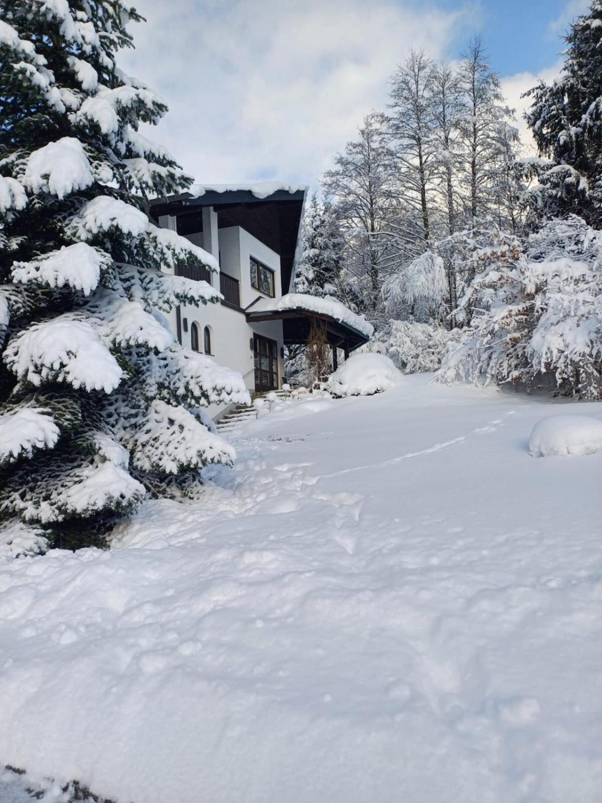 Landhausvilla In Unterach am Attersee